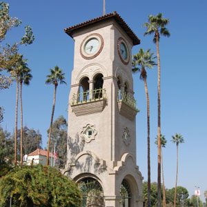 Local-Information_300x300